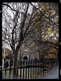 Low angle view of bare trees