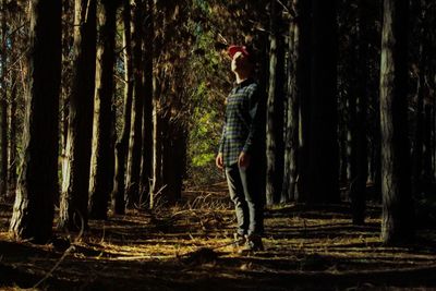 Man standing by tree trunk in forest