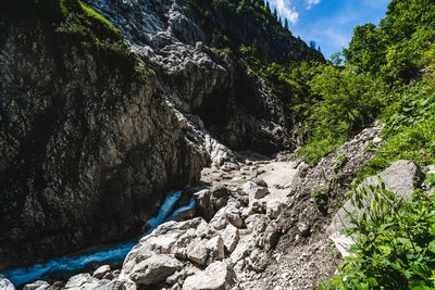 Scenic view of waterfall