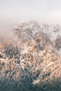 High angle view of snow covered land