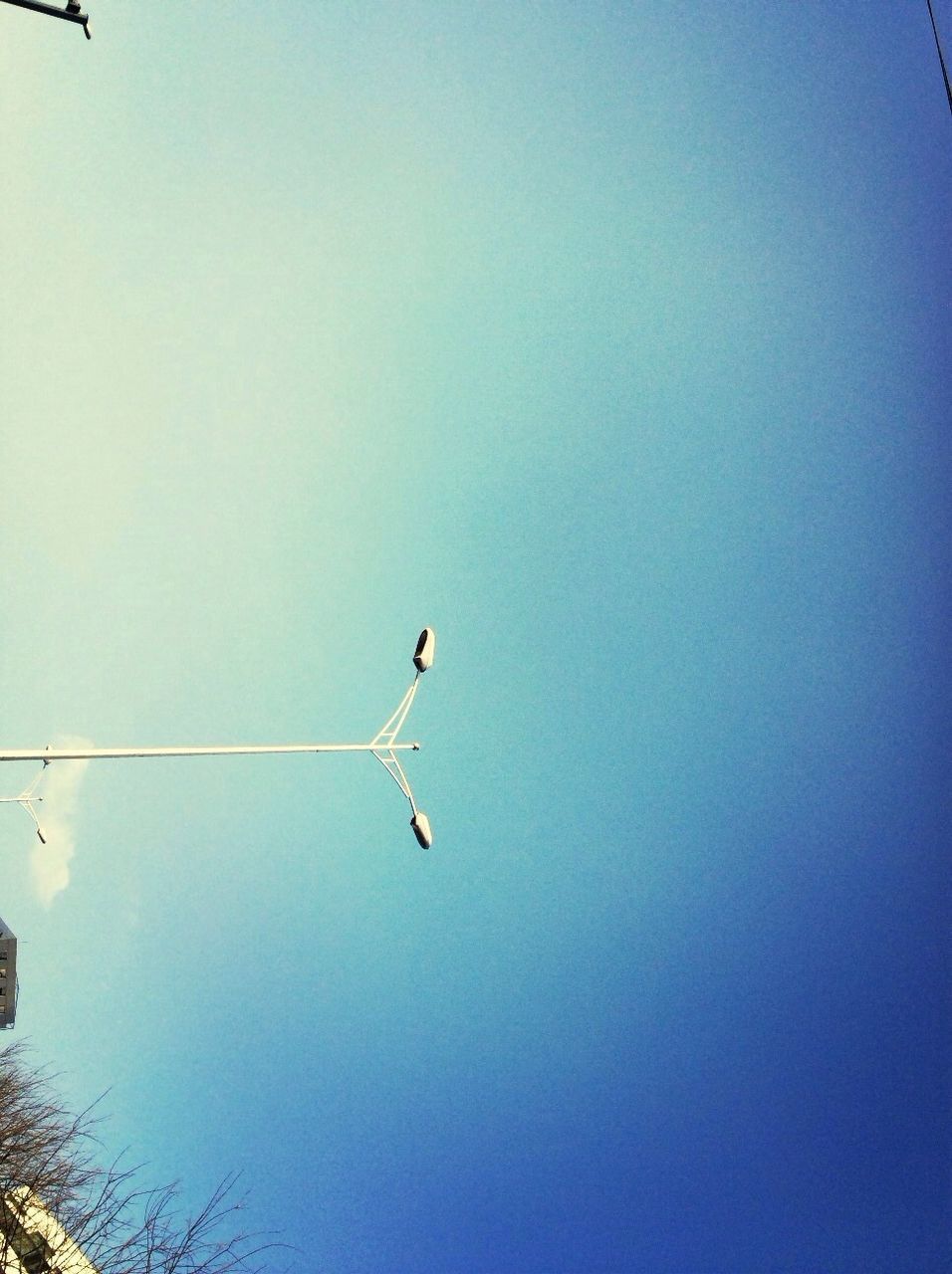 low angle view, flying, clear sky, copy space, bird, animal themes, mid-air, animals in the wild, wildlife, one animal, sky, silhouette, blue, nature, airplane, transportation, cable, no people, outdoors, street light