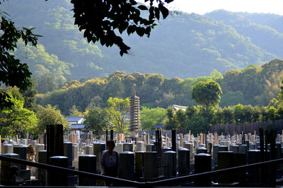 Trees and mountains against sky