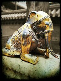 Close up of plant against blurred background