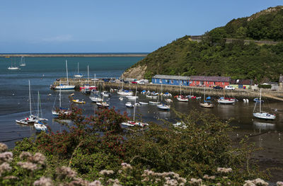 High angle view of boats moored in harbor