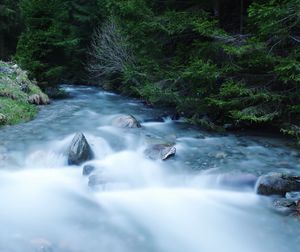 Scenic view of waterfall in forest