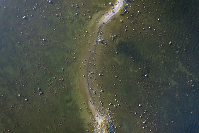 High angle view of water