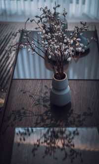 Close-up of potted plant on table at home