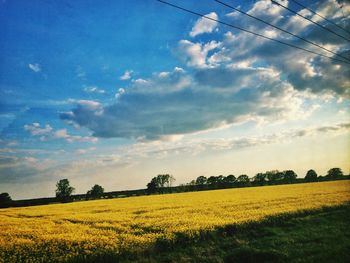 Scenic view of field against cloudy sky