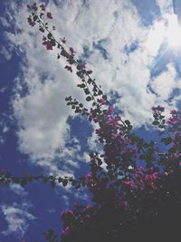 Low angle view of tree against sky