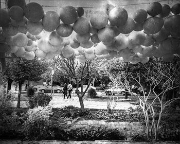 View of trees against cloudy sky