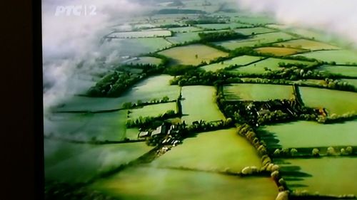 Close-up of tree against sky