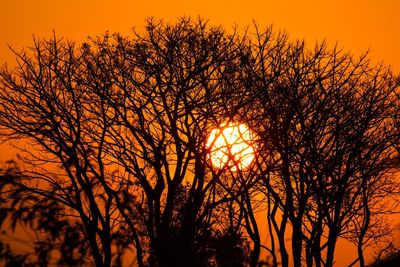 Silhouette trees against sky during sunset