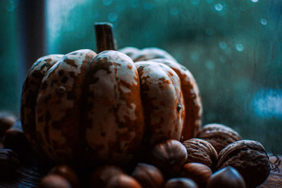 Close-up of chestnuts and pumpkin on wooden table by window