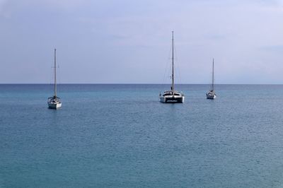 Sailboat sailing on sea against sky