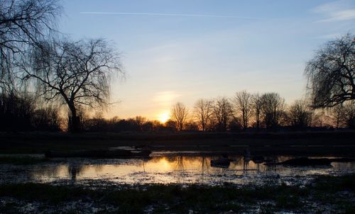 Scenic view of silhouette trees against sky at sunset