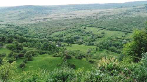 Scenic view of landscape