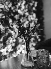 Close-up of christmas decorations