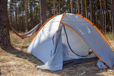 Panoramic view of tent on field against trees in forest