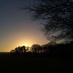 silhouette