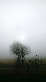 Trees on landscape against sky