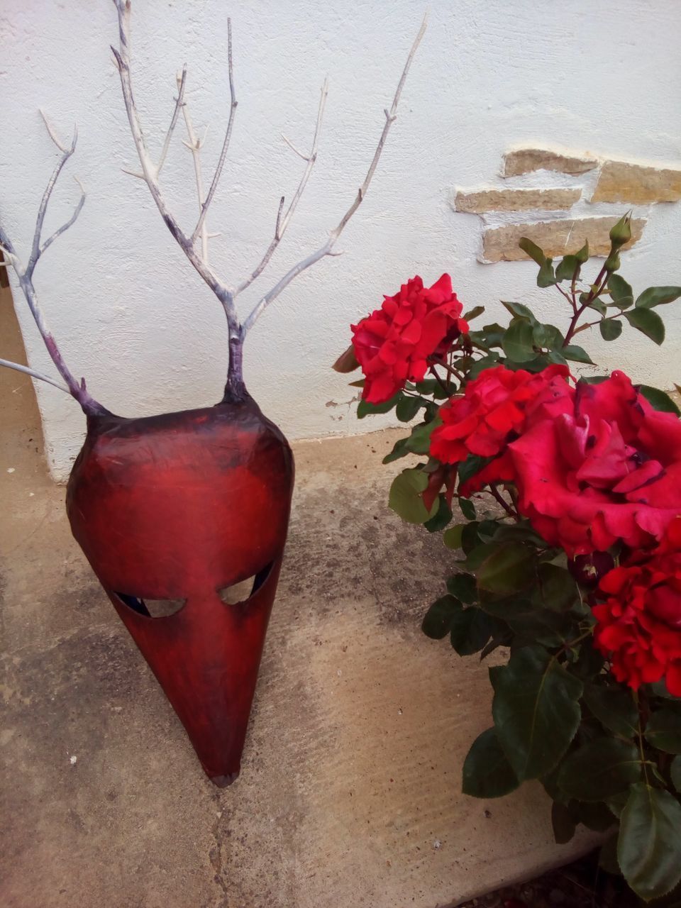 CLOSE-UP OF RED ROSE ON TABLE