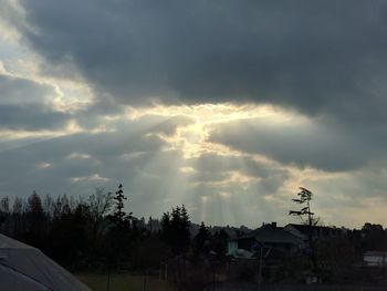 Houses and trees against sky during sunset