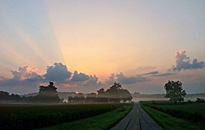 Road passing through field