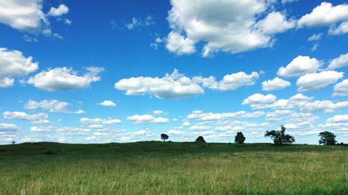 Scenic view of grassy field against cloudy sky