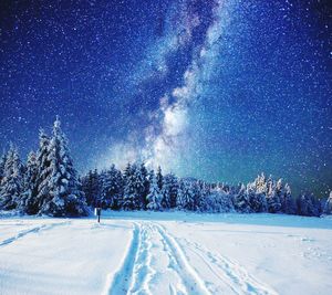 Scenic view of pine trees against sky at night