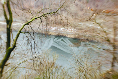 Close-up of bare tree in lake