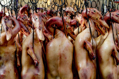 Close-up of crab duck meat sale at market stall