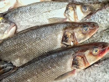 Close-up of fish for sale at market