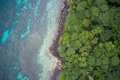 High angle view of landscape