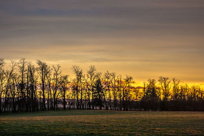 Scenic view of field against sky at sunset