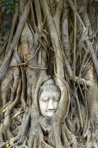 Statue of tree in temple