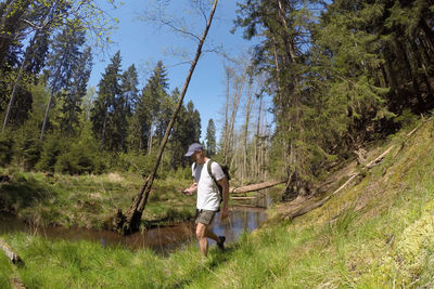 Hiker walking on riverbank in forest against sky