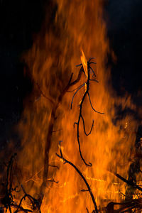 Low angle view of fire against the sky at night