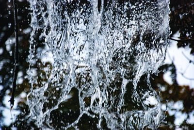 Close-up of reflection of tree in water