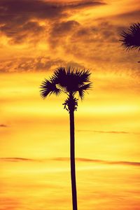 Low angle view of silhouette palm tree against romantic sky