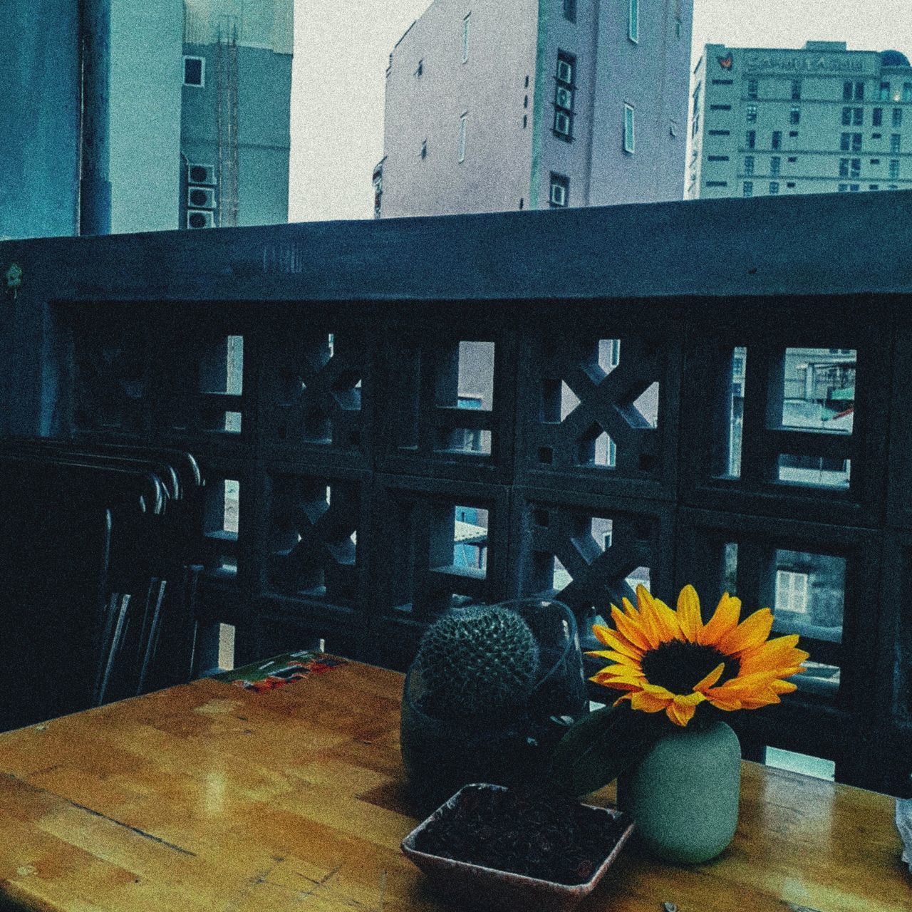 YELLOW FLOWERS ON TABLE BY BUILDINGS