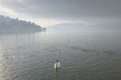 Rainy day in the lake