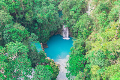 High angle view of waterfall amidst trees in forest