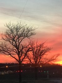 Silhouette bare tree against sky during sunset