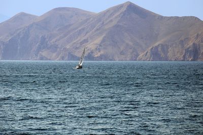 Sailboat in a sea