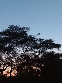 Low angle view of silhouette trees against clear blue sky