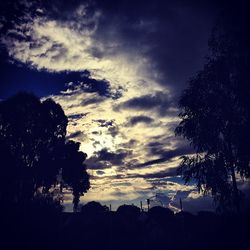 Silhouette of trees at sunset