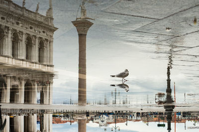 Digital composite image of seagull flying over water