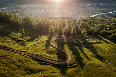 High angle view of road amidst trees