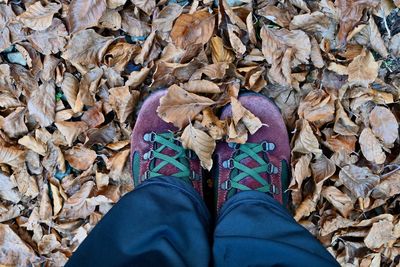 Low section of person standing on dry leaves