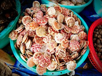 High angle view of clams in market for sale